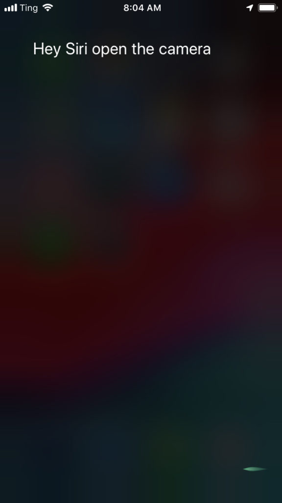 Screenshot of iOS device Siri response to 'Hey Siri open the camera'