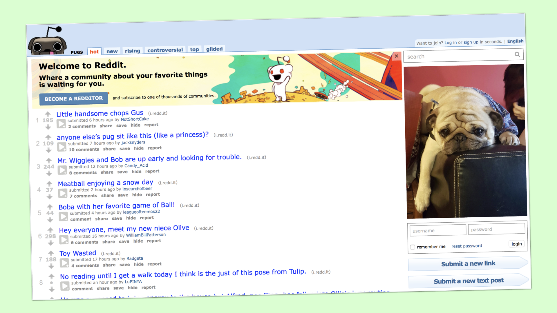 Landing page of Reddit's r/pugs community.