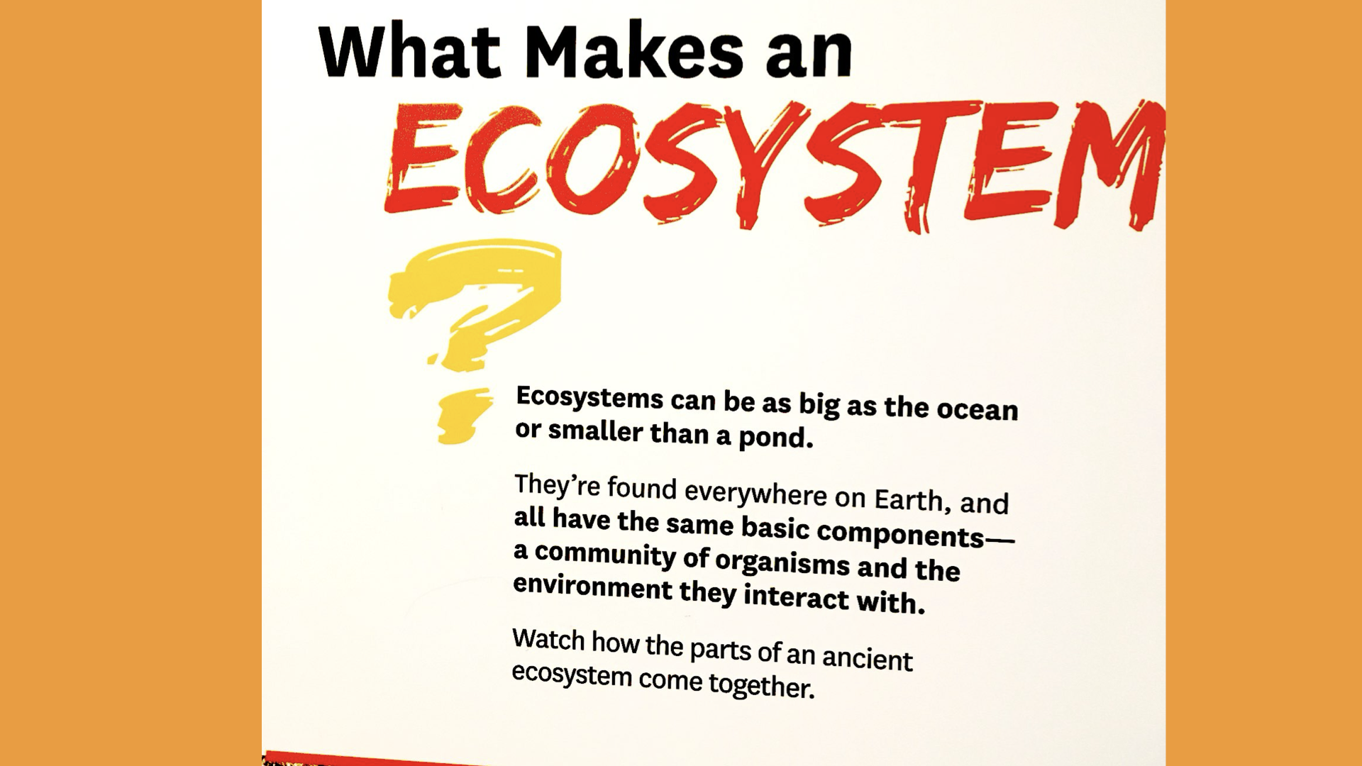 Museum sign asking "What makes an ecosystem?"